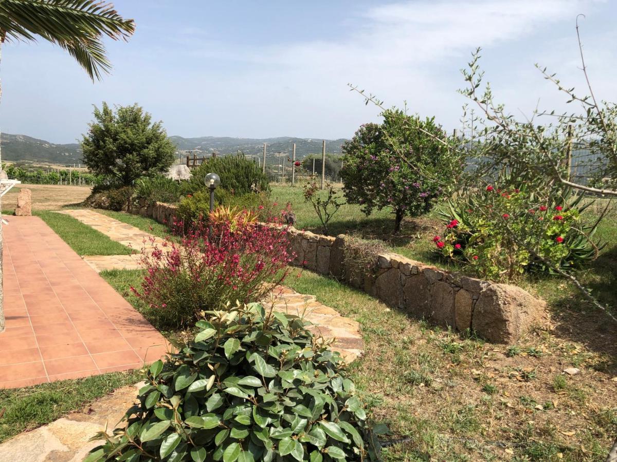 Campesi Aglientu Exterior foto